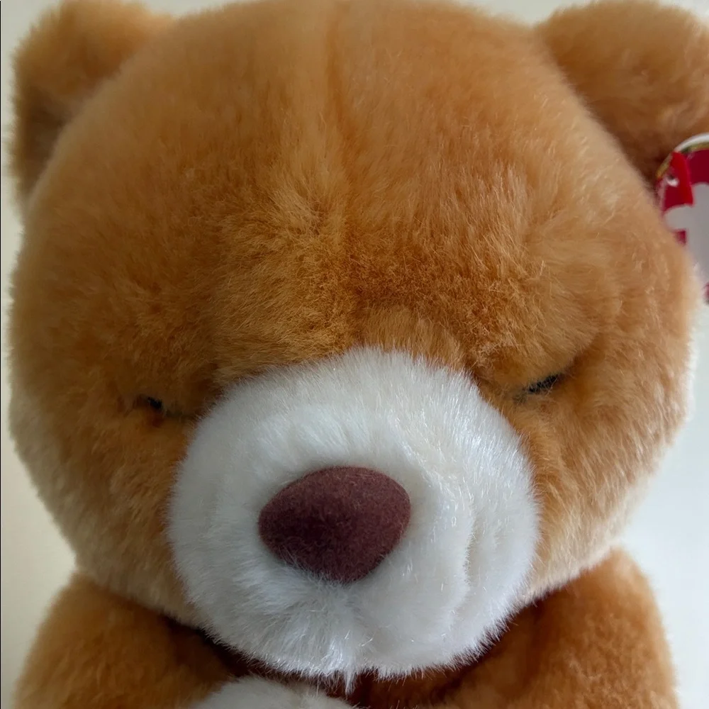 TY -  HOPE THE PRAYING BEAR - Vintage 1998